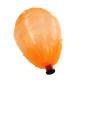 20220207_160233-removebg-preview.png